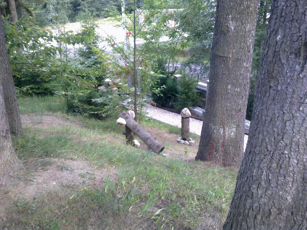 시나이아 Casa Gabriela 빌라 객실 사진