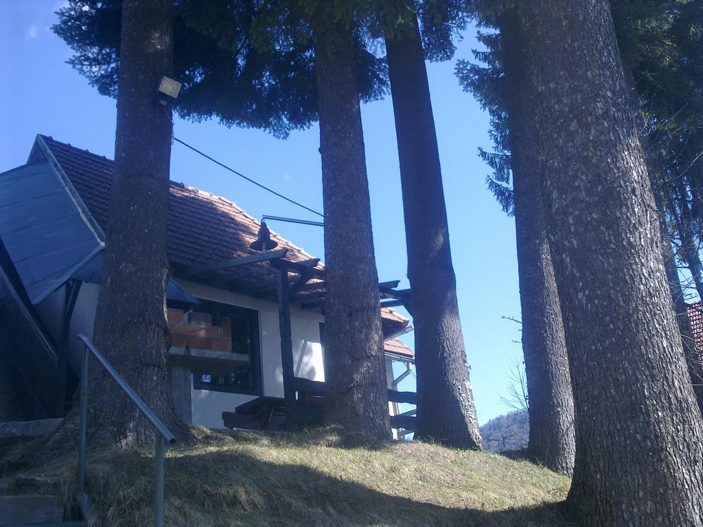 시나이아 Casa Gabriela 빌라 객실 사진