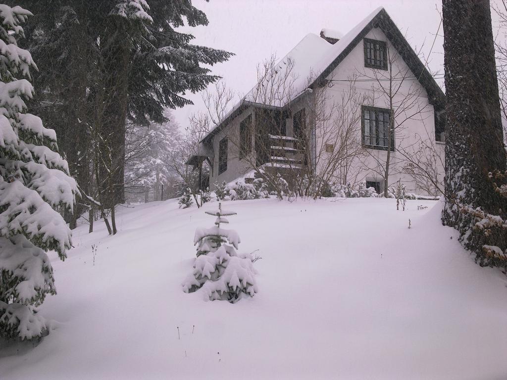 시나이아 Casa Gabriela 빌라 객실 사진